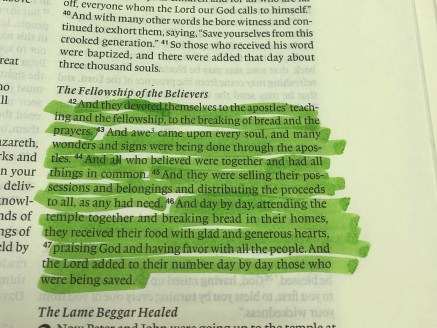 4D6D7E6A-87DD-4937-A94B-BDA9A3BA743E